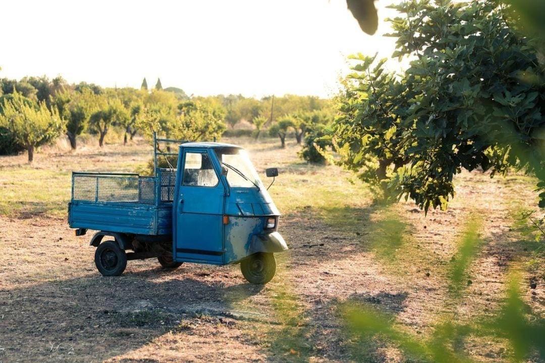 Casa In Campagna ⋅ Forimia Βίλα San Vito dei Normanni Εξωτερικό φωτογραφία