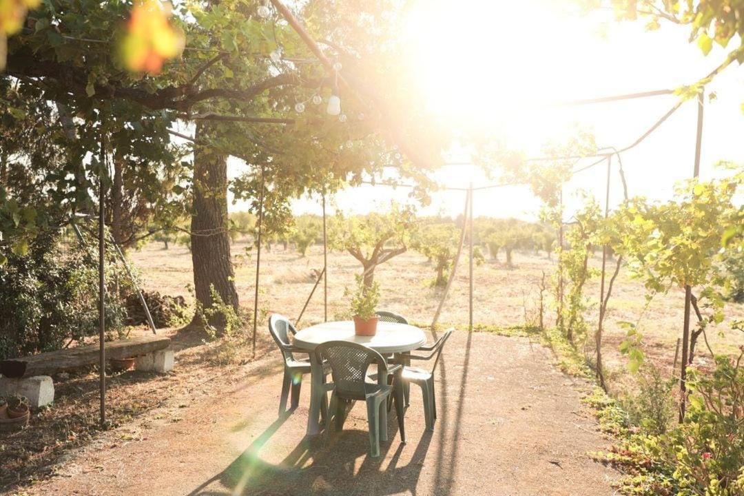 Casa In Campagna ⋅ Forimia Βίλα San Vito dei Normanni Εξωτερικό φωτογραφία